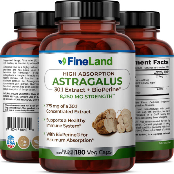 FineLand_Astragalus_3d_1.jpg Astragalus - Imagem 2