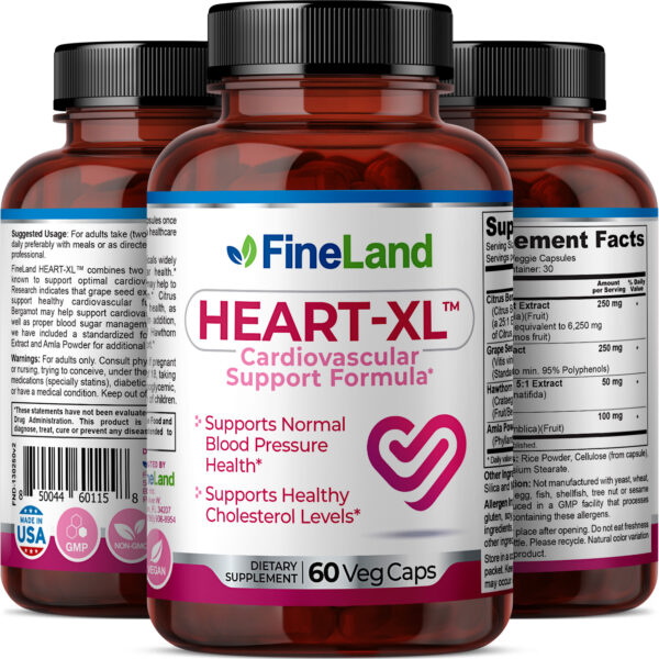 HeartXLRender1-1.jpg Heart-XL - Imagem 2