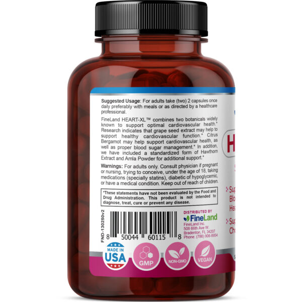 HeartXLRender3.jpg Heart-XL - Imagem 4