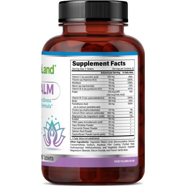 Quantum Calm - Imagem 3