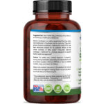 Garcinia Cambogia - Imagem 4