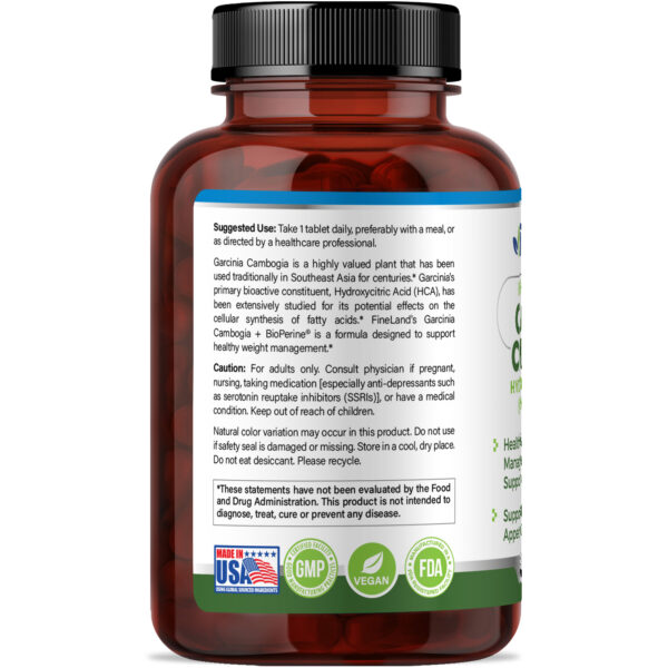 Garcinia Cambogia - Imagem 4