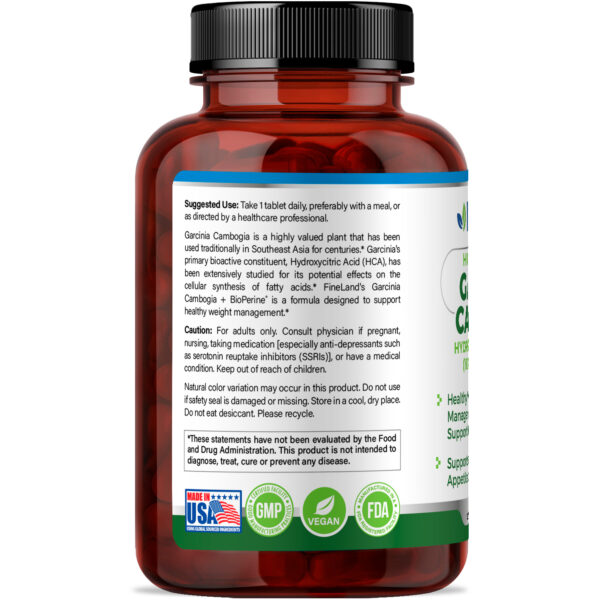 Garcinia Cambogia - Imagem 2
