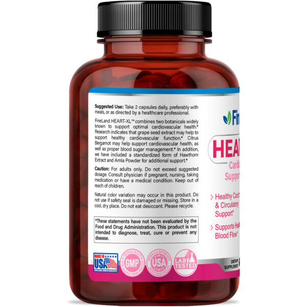 Heart-XL - Imagem 2